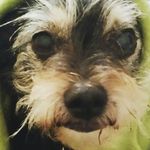 Jane Fielding - @fielding453 - Instagram