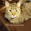 Cindy - @janfields2 - TikTok