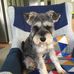 Jan File - Facebook