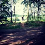 jan finke - @jan_downhill2003 - Instagram