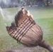 Jan Finney - Facebook