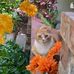 Jan Griffin Finney - Facebook