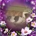 Jan Fiore - Facebook