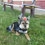 Jan Fitzpatrick - @jan.fitzpatrick.520 - Instagram