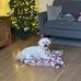 Jan Fitzpatrick - Facebook