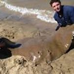 Jan Maree - @janfixit - Instagram