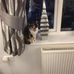 Jan Flack - Facebook