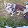 Fleischer Janin - @fleischer.janin - TikTok