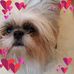 Jan Fogle - Facebook