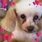 Jan Foley - @jan.foley.319 - Instagram