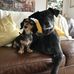 Jan Forbes - Facebook