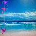 Jan Forbes - Facebook