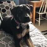 Jan Forrest - @jan.forrest - Instagram