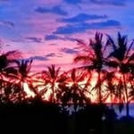 Jan Forrest - @forrest334 - Instagram