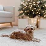 Jan Fraser - @janfraser800 - Instagram
