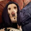 Janefrazee - @user5481244811524 - TikTok