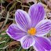 Janis Frazee - Facebook