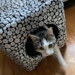Jan Frazier - @janfrazier9754 - Instagram
