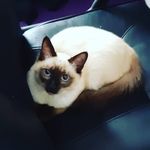 jan-frederick - @jan.insta.de - Instagram