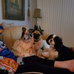 Jan Fredrickson - @j.fredrickson9938 - Instagram