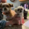 Jane Fredrickson - @jane.fredrickson - TikTok
