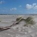 Jan Woite Frei - Facebook
