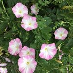 Jane Fulford - @jane_fulford - Instagram