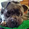 Janice Fulford - @janice.fulford - TikTok