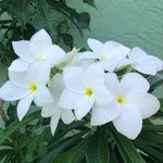 Jan Fuller - @jan.gawdang - Instagram