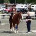 Jan Fulton - Facebook