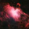 JanGajdos79 - @jangajdos79 - TikTok