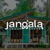 Jangala Beach House - @jangalacr - TikTok