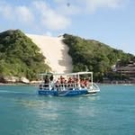 Jangalancha Jangalancha - @jangalanchashow - Instagram