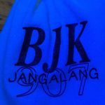 @jangalangs_art - Instagram