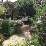 Jan Galloway - @janinthegarden1 - Instagram