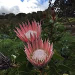 Jan Galloway - @jangalloway6 - Instagram