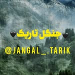 🖤jangaltarik🖤 - @jangal_.tarik - Instagram