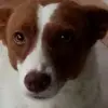 Jan Galvez - @jan.galvez3 - TikTok