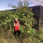 Jan Galvez - @jan3213235 - Instagram