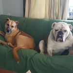 Jan Gamble - @jan.gamble.56 - Instagram