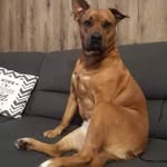 Ján Gánoci - @jan.ganoci - Instagram