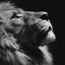 Jan George - Facebook