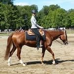 Jan Gerardi - @jan.gerardi - Instagram