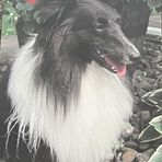 Jan Gleason - Facebook