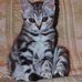 Jan Golding - Facebook