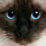 janjan - @jan_grace_ - Instagram