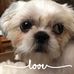 Jan Graves - Facebook