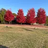 jangregory765 - @jangregory765 - TikTok