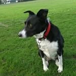 Jan Griffiths - @jan_griffiths - Instagram