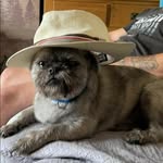 Jan Griffiths - @ilovemyward - Instagram